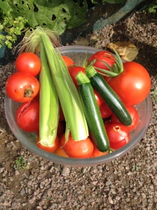 tomatoes courgettes sweetcorn